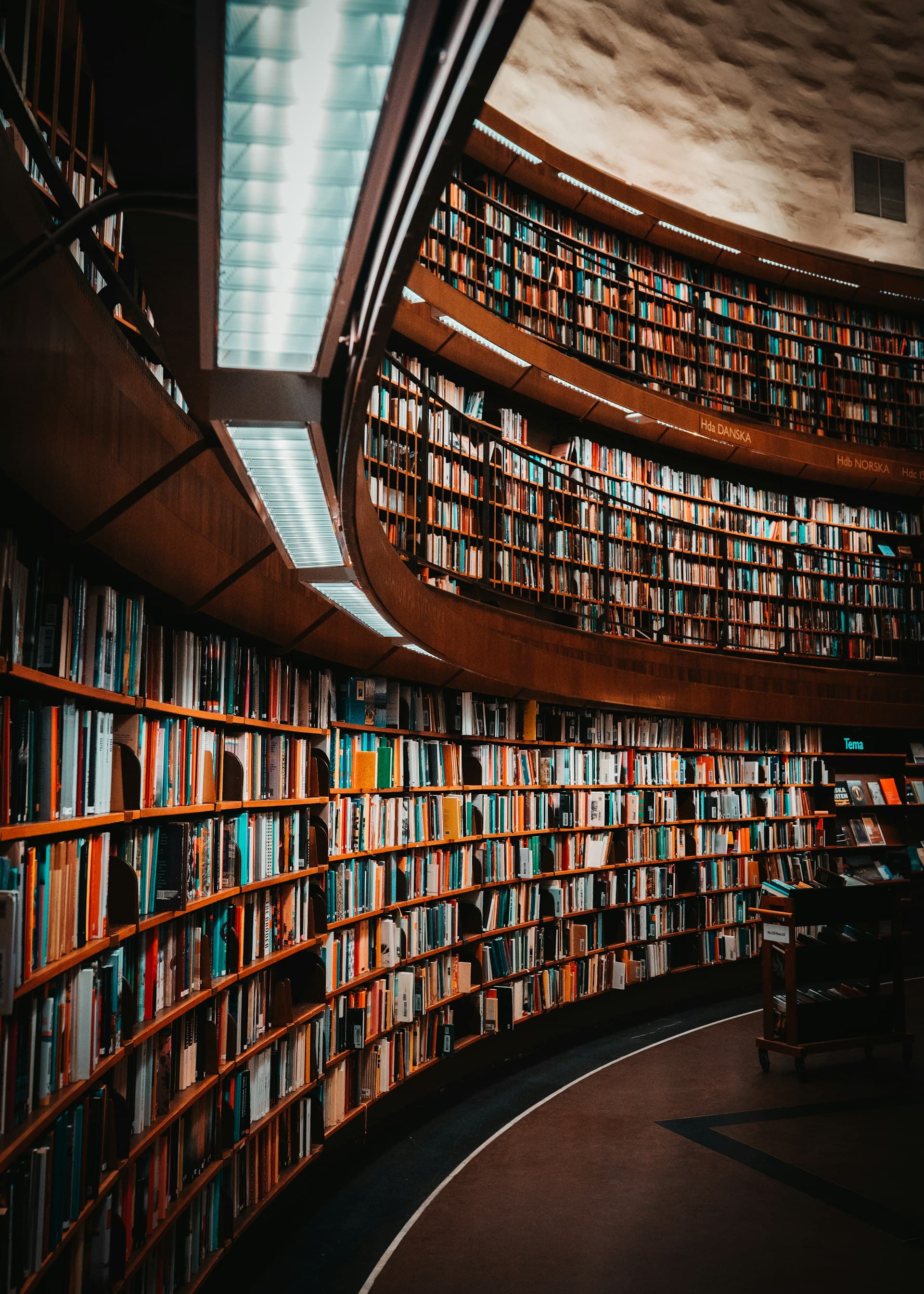 A dramatic curved library with tall shelves of books